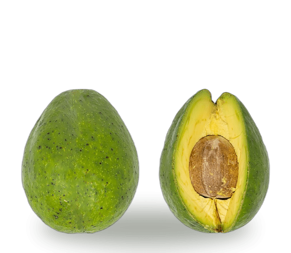 Avocado (Pear)