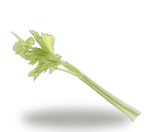 Celery