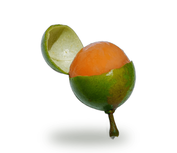 Guinep