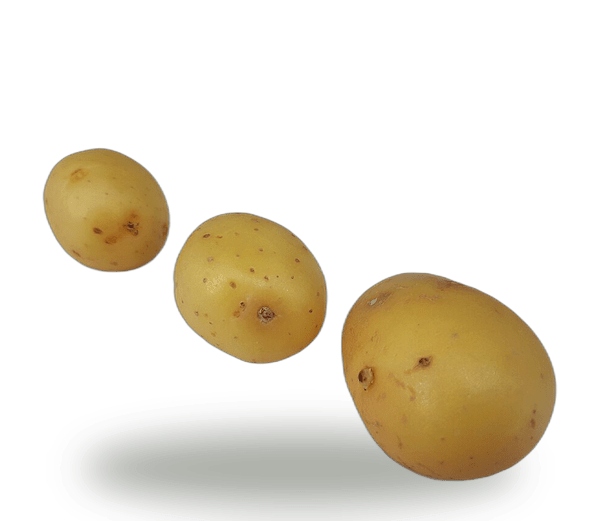 Irish Potato