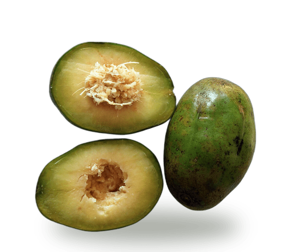 June Plum