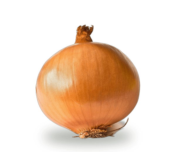 Onion
