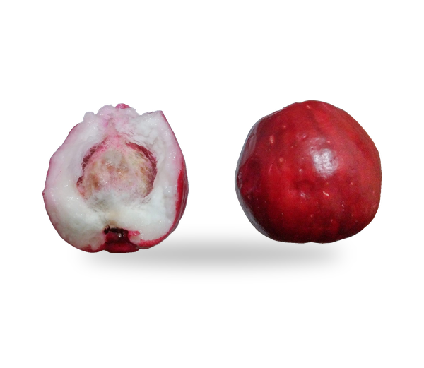 Otaheite Apple