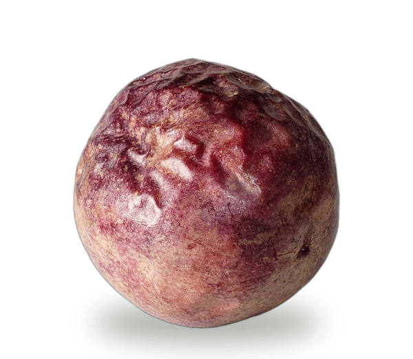 Passion Fruit