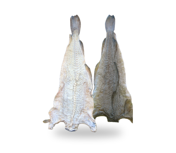 Saltfish