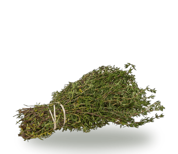Thyme
